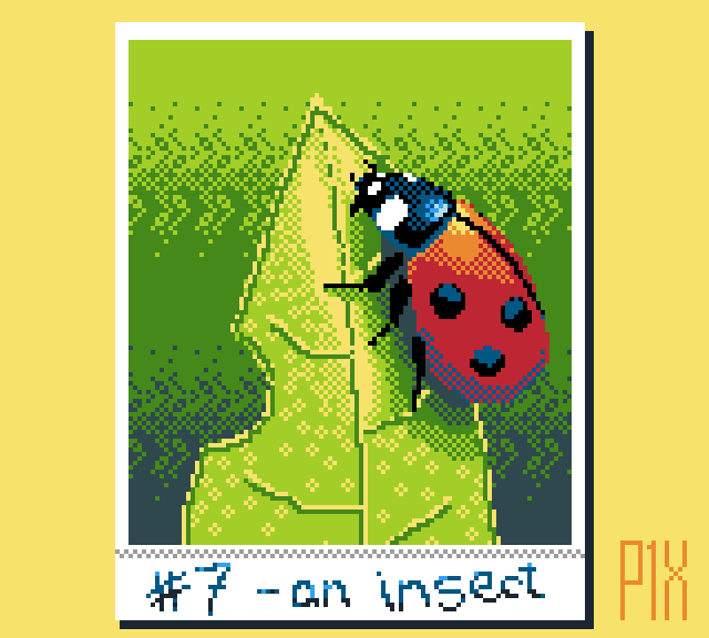 Ladybird